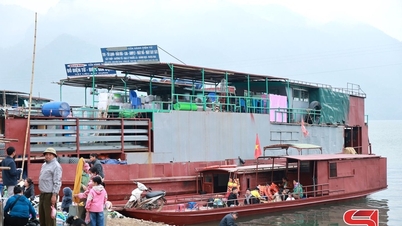 Hareketli Tan Phong pazarı