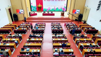 Ngày làm việc thứ 2, Kỳ họp thứ ba mươi tư HĐND tỉnh khóa XV, nhiệm kỳ 2021 - 2026: Thảo luận và chất vấn tại Hội trường