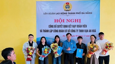 Création du syndicat de la société Van An Hoa Limited, admis 83 membres