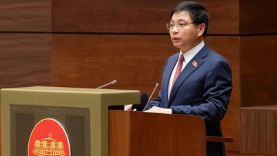 تعديل قانون ضريبة القيمة المضافة لدعم الزراعة وإزالة العوائق أمام استرداد الضرائب للشركات