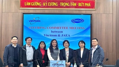 베트남 원자력 연구소와 일본 원자력기구 간 인적자원개발 운영위원회 회의