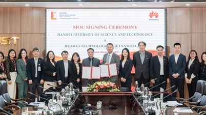 교육 분야의 디지털 전환 촉진 및 IT 인재 육성