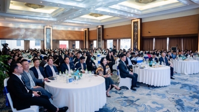 Especialistas apontam o potencial de crescimento e as oportunidades de lucro do setor imobiliário de Nghe An.