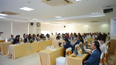 Promovarea rolului femeilor în transformarea digitală