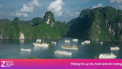 يجب على الزوار الإفصاح عن معلوماتهم الشخصية عند شراء التذاكر لزيارة خليج ها لونج.