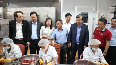 Memberikan perhatian untuk mendukung dan menciptakan kondisi yang menguntungkan bagi koperasi untuk mengembangkan produksi dan usaha.