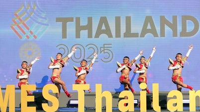 Indrukwekkende momenten tijdens de vlaggenceremonie van de 33e SEA Games