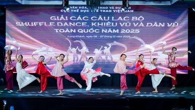 Kejohanan kelab sukan tarian shuffle kebangsaan, tarian dan tarian rakyat yang menarik 2025