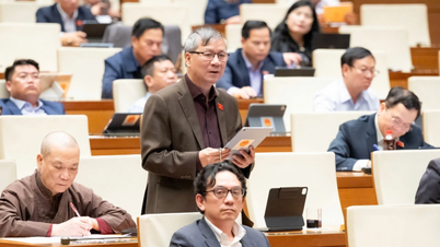 Député à l'Assemblée nationale : « Si vous construisez des centrales hydroélectriques, elles doivent être sûres. Si elles ne le sont pas, vous ne devriez absolument pas le faire. »