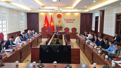 ກຸ່ມ​ບໍລິສັດ Hung Nhon ​ແລະ De Heus ຈະ​ຜັນ​ຂະຫຍາຍ​ໂຄງການ​ຢູ່ Gia Lai ຂຶ້ນ​ເຖິງ 2.800 ຕື້​ດົ່ງ.