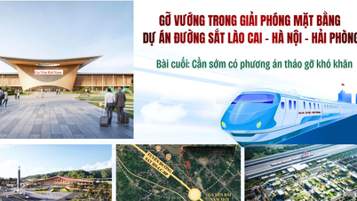 Artículo final: Es necesario tener un plan para superar las dificultades pronto