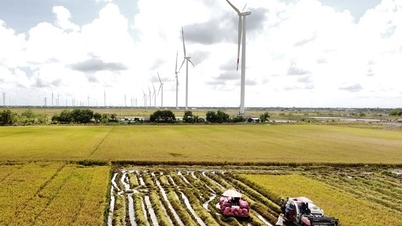 का माऊ ने दोहरे अंकों की जीआरडीपी वृद्धि का लक्ष्य रखा