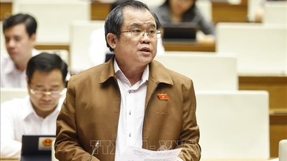 Πρόταση για τη συμπλήρωση του μηχανισμού για το έργο του διεθνούς αεροδρομίου Gia Binh