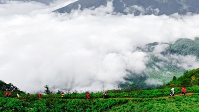 Montañismo en el norte: una guía para conquistar cumbres al final del año