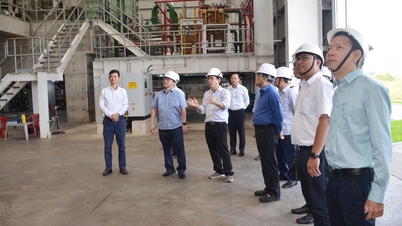 एन गियांग प्रांतीय पीपुल्स कमेटी के अध्यक्ष हो वान मुंग ने हौ गियांग बायोमास पावर प्लांट का निरीक्षण किया