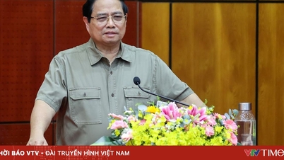 Премьер-министр: продвижение уникальных преимуществ, содействие быстрому, устойчивому и стабильному развитию Тэйниня