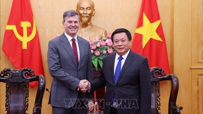 Promoting cooperation in research and application of technology to assess expertise and cadres between Vietnam and the Russian Federation