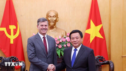 Zusammenarbeit in Forschung und Anwendung von Technologien zur Bewertung von Fachwissen und Kadern zwischen Vietnam und Russland