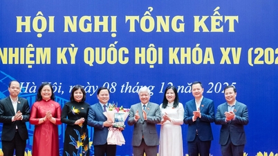 Naib Pengerusi Tetap Dewan Negara Do Van Chien menghadiri persidangan yang meringkaskan aktiviti Kumpulan Timbalan-Timbalan Dewan Negara Muda, Penggal ke-15.