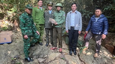 Vypuštění vzácné horské želvy do volné přírody