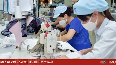 8 سلع تصديرية تزيد قيمتها عن 10 مليارات دولار أمريكي