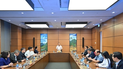 Nasjonalforsamlingsdelegasjonen i Gia Lai-provinsen oppsummerer aktivitetene for perioden 2021–2026