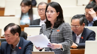 भूमि अधिग्रहण परियोजनाओं में निवेशकों की जिम्मेदारियों को लोगों की दीर्घकालिक आजीविका के साथ जोड़ना आवश्यक है।