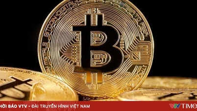 कई अमेरिकी क्रिसमस के मौसम में क्रिप्टोकरेंसी प्राप्त करना चाहते हैं