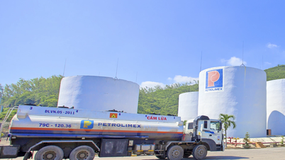 Petrolimex Khanh Hoa: 50 años de fortaleza, llegando lejos