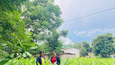 টেকসই দারিদ্র্য হ্রাসের জন্য গতি তৈরি করে বাধা অপসারণ করা