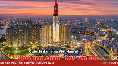 FDI資本が増加し、ベトナムは新興IFM市場のグループの中で存在感を示している