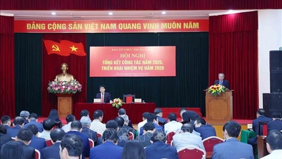 Å drive det politiske systemets organisasjonsapparat i henhold til den nye modellen