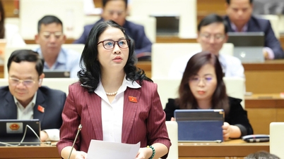 Усунення вузьких місць, вивільнення ресурсів для національної енергетики