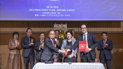 ຊຸກຍູ້​ການ​ຮ່ວມ​ມື​ດ້ານ​ທຸລະ​ກິດ​ບໍ່​ມີ​ຊາຍ​ແດນ​ລະຫວ່າງ​ຫວຽດນາມ ​ແລະ ຍີ່ປຸ່ນ