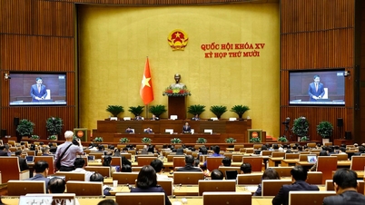 ホーチミン市とダナンの急速な発展を支援するための優れた法的枠組みの構築