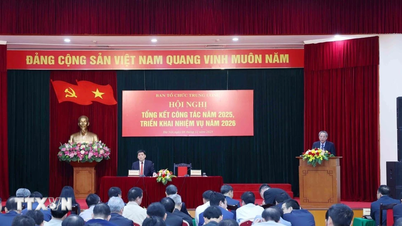 Siyasi sistemin senkronizasyon ve verimliliğinin sağlanması amacıyla örgütlenmesi ve işleyişi konusunda danışmanlık