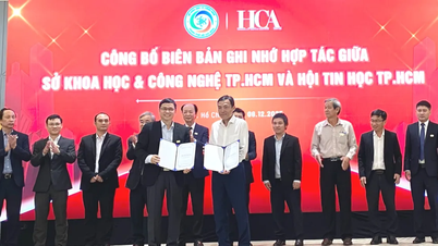 Асоціація інформатики міста Хошимін розширює свою діяльність