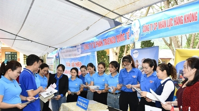 투옌꽝: 3,600명 이상의 근로자를 위한 일자리 창출