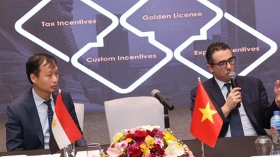 قاہرہ میں ویتنام بزنس فورم: جامع شراکت داری کے فریم ورک کے اندر تجارت اور سرمایہ کاری کے مواقع