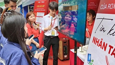 Κάθε χρόνο, το Βιετνάμ έχει περίπου 140.000 θέσεις εργασίας που σχετίζονται με τις ανανεώσιμες πηγές ενέργειας.