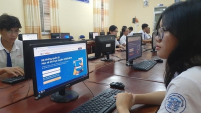 Can Tho, 교육 분야의 디지털 혁신을 선도하다