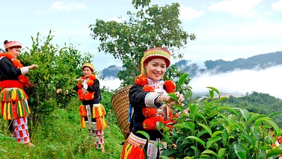 Tuyen Quang: Removendo dificuldades, apoiando o desenvolvimento cooperativo