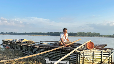 Proporcionar oportunidades aos agricultores de Quang Ngai para escaparem da pobreza de forma sustentável.