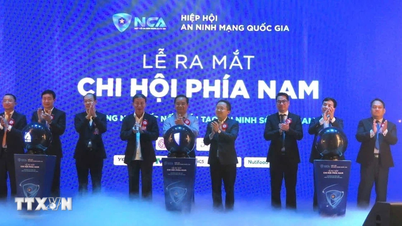 Національна асоціація кібербезпеки встановлює додаткові «лінії оборони» в Хошиміні