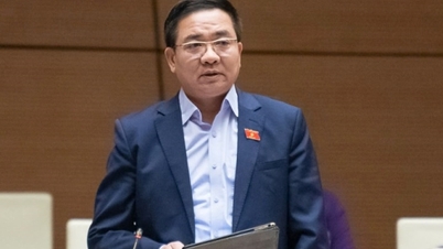 Os delegados da Assembleia Nacional elogiaram bastante o mecanismo para o desenvolvimento energético.