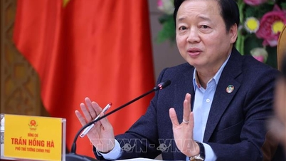 El viceprimer ministro Tran Hong Ha presidió una reunión para resolver cuestiones de planificación para proyectos de vivienda social.