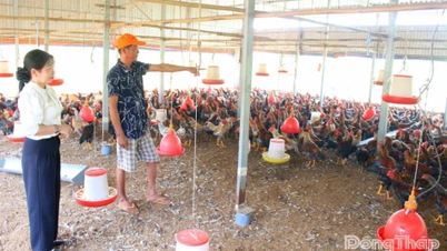ロンビン村：合併後、農業が躍進、開発競争の勢いが増す
