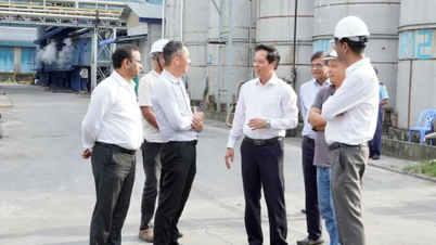 Dong Thap: Criando o ambiente de negócios mais favorável para o desenvolvimento empresarial.