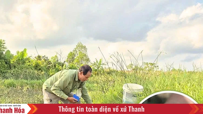 "Fiskens kung" i låglandet