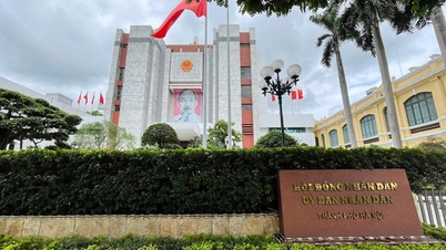 صوبوں اور مرکز کے زیر انتظام شہروں کی پیپلز کمیٹی کے ماڈل ورکنگ ریگولیشنز